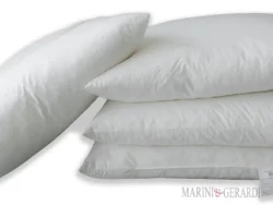 Riempimento cuscino in piume 60x60 cotone no acari