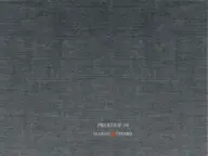 Grigio Bluastro 04